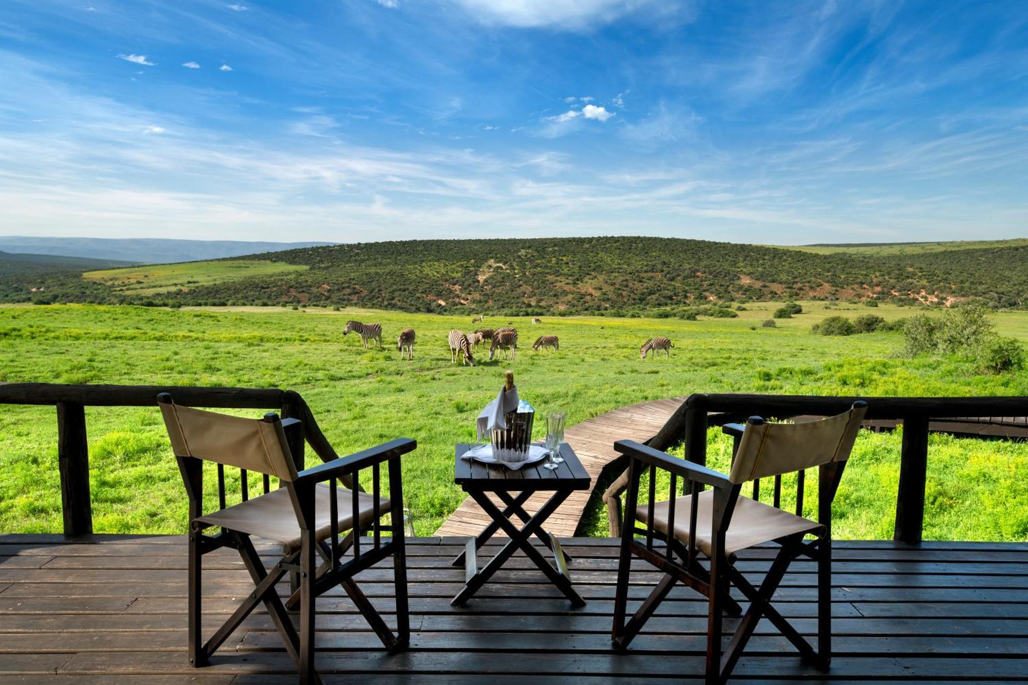 Gorah Elephant Camp Addo Zewnętrze zdjęcie