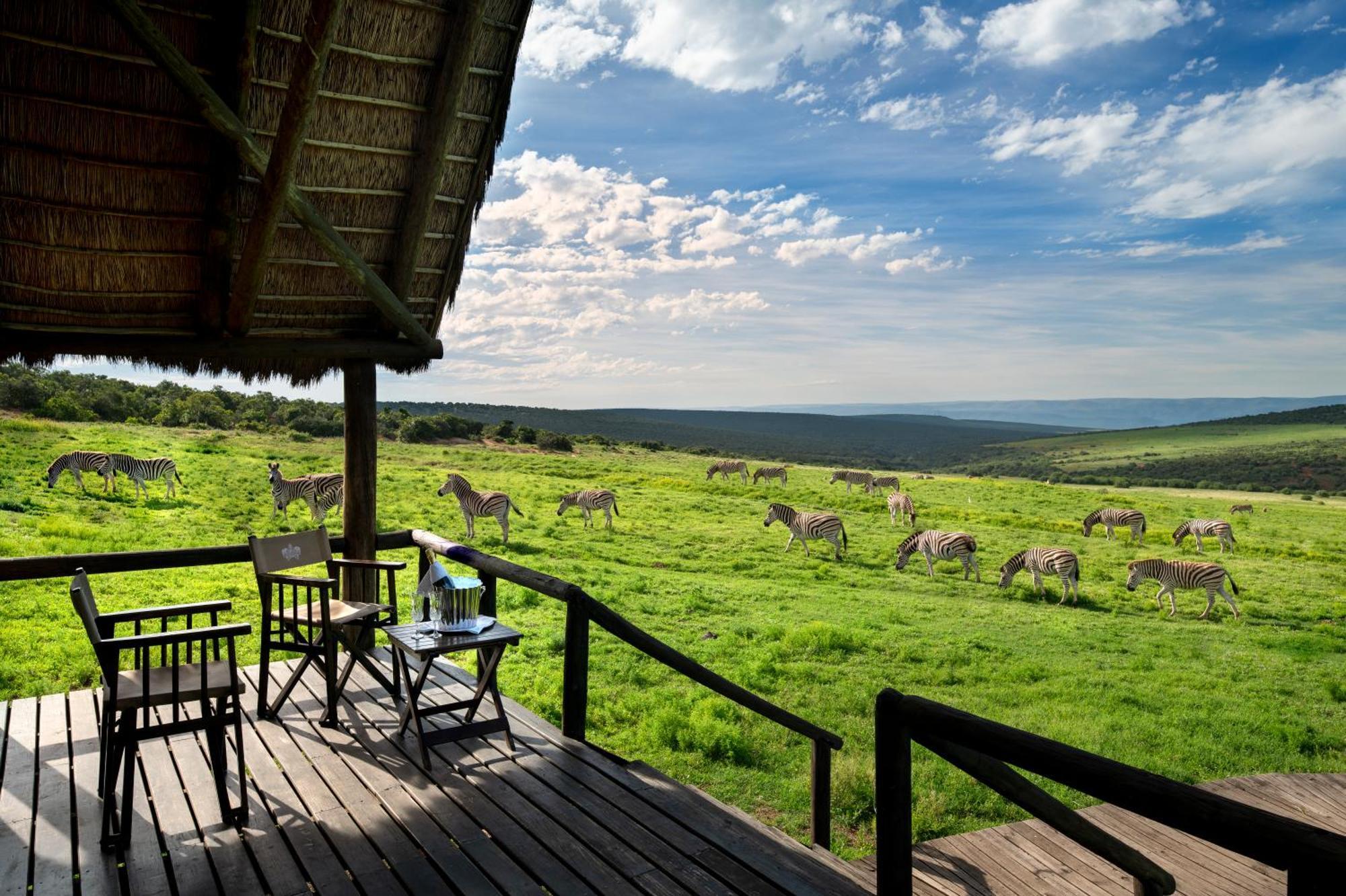 Gorah Elephant Camp Addo Zewnętrze zdjęcie