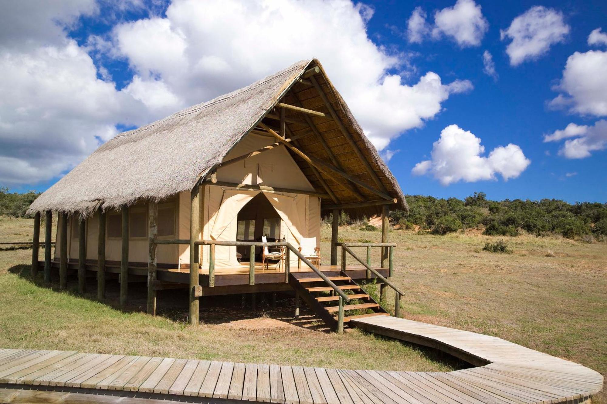 Gorah Elephant Camp Addo Zewnętrze zdjęcie