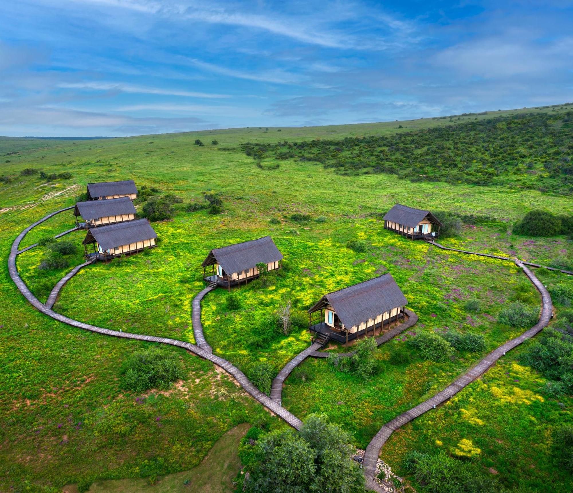 Gorah Elephant Camp Addo Zewnętrze zdjęcie